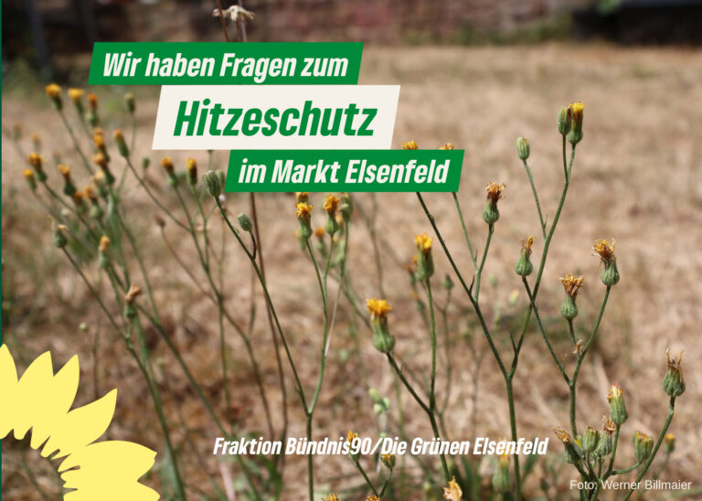 Hitzeschutz für Elsenfeld